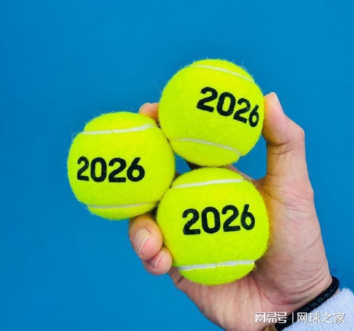 九游体育app下在-阿卡淘汰卢布与菲斯争冠,高芙遭小白菜双杀,梅总向小钱抛橄榄枝